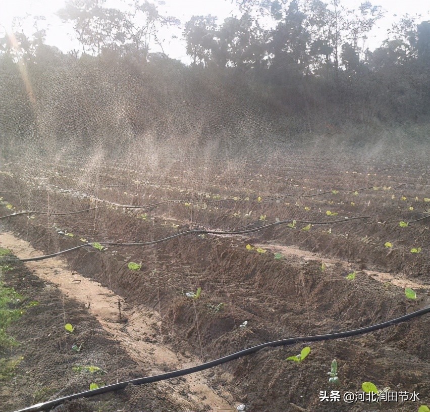 微喷灌整套安装示意图,微喷头组装