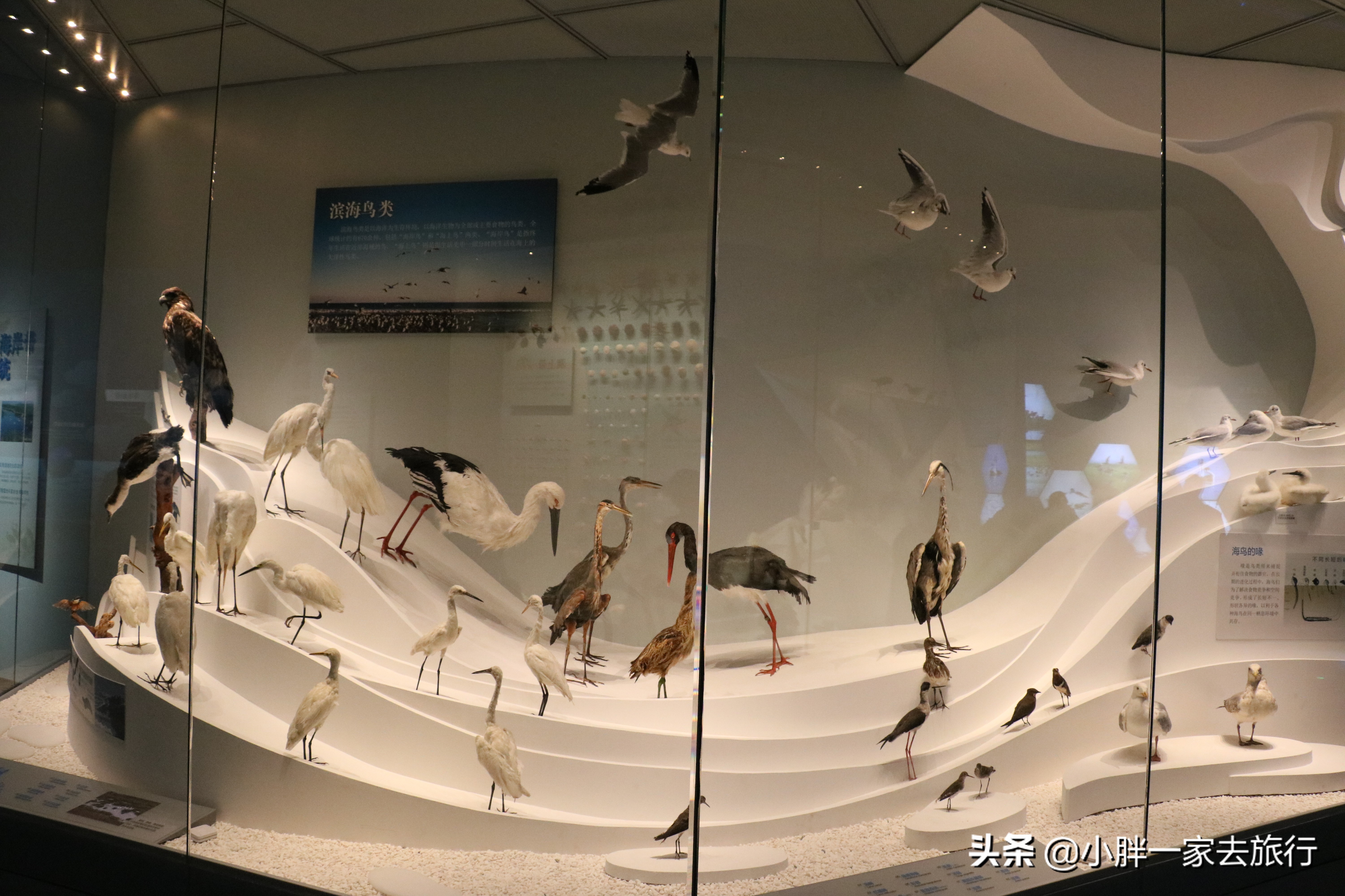 最大的北京海洋博物馆,海上故宫国家海洋博物馆