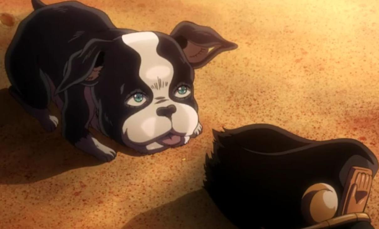 jojo承太郎不戴帽子,jojo是怎么变空条承太郎的