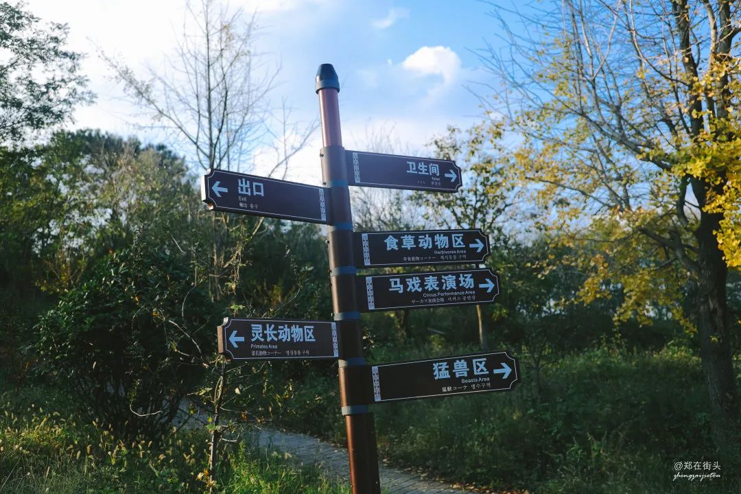 大悟十八潭适合什么样的人玩,大悟十八潭中国旅游日免门票吗