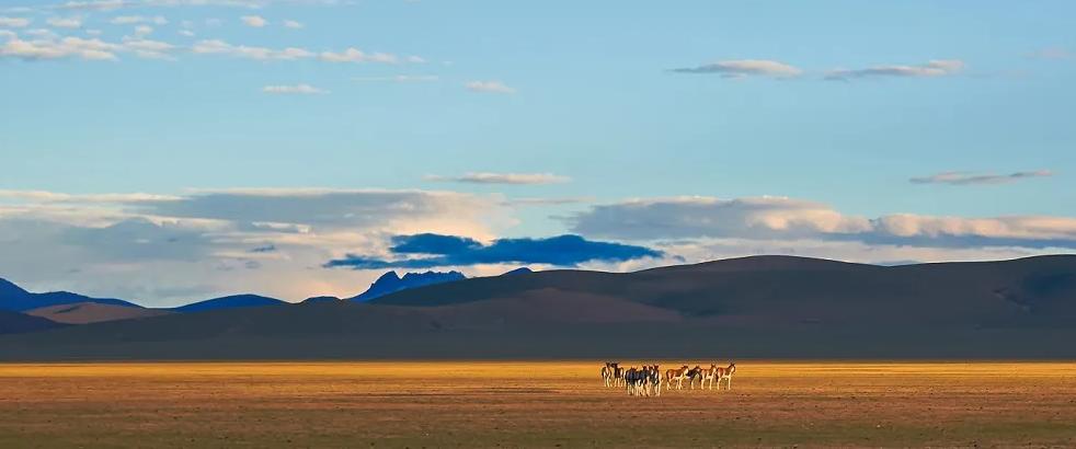 炸裂！全球唯一合法资质进入羌塘，一起去实现人生终极越野梦