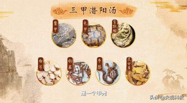 男人补肝补品,男人补肝育肾用什么补好