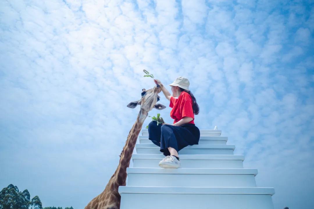 适合所有人旅行的5个宝藏目的地,游玩新体验每周必去的宝藏好地