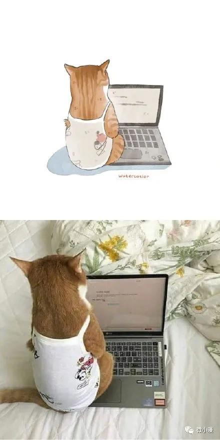 猫咪呆傻日常漫画,搞笑漫画喵星人为什么不开心