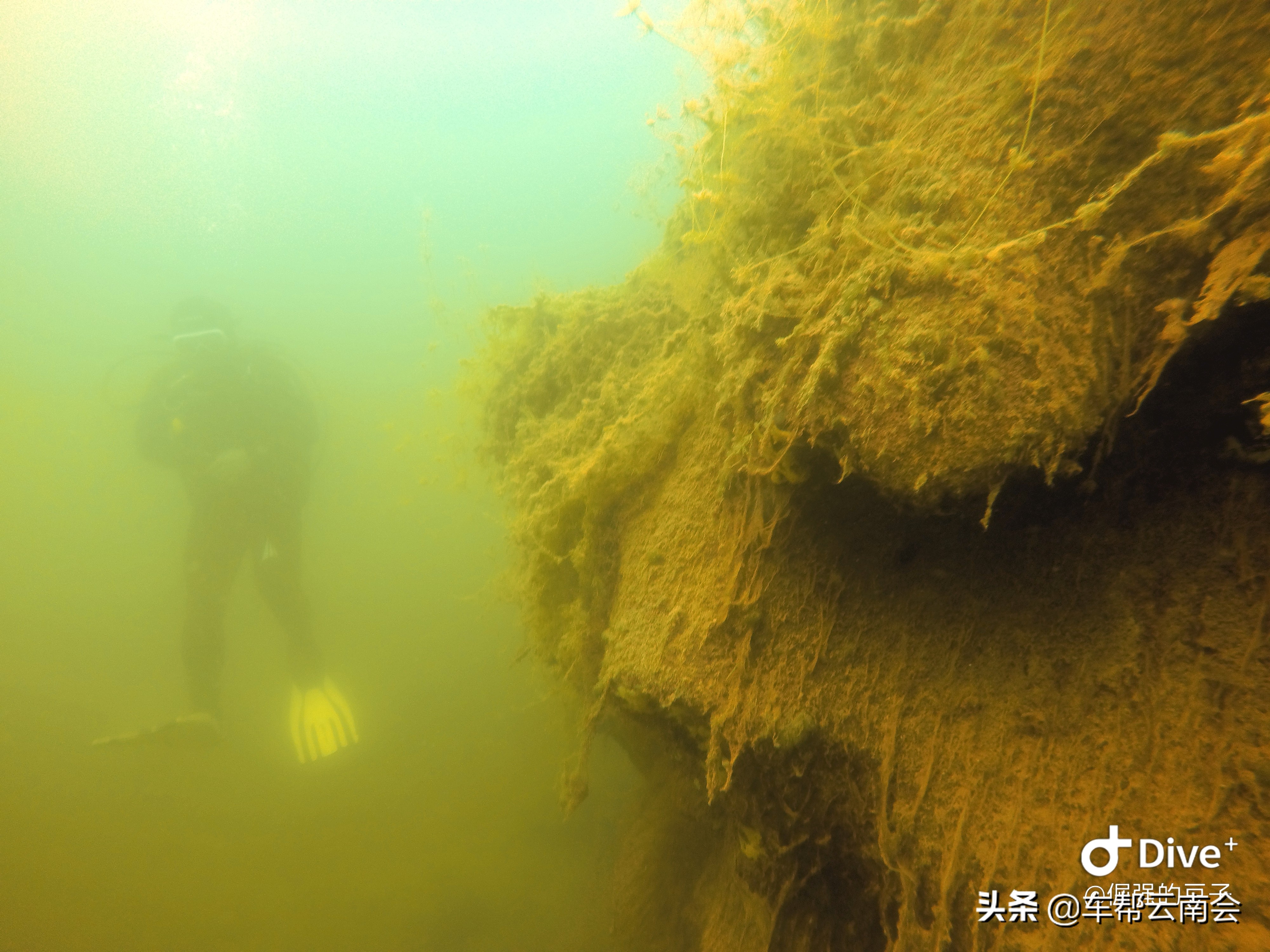 云南宏通达红旗多少钱,云南红旗宏通达