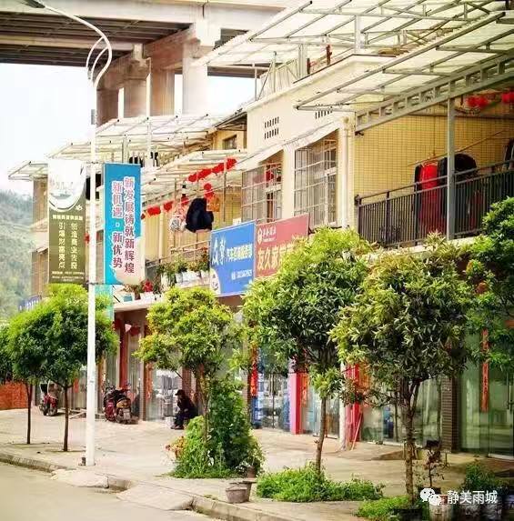 雨城名字由来,雨城区乡镇区划调整方案