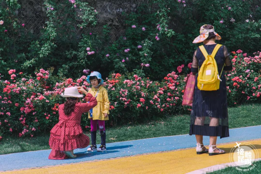 想在昆明定居,想在昆明找份好点的工作