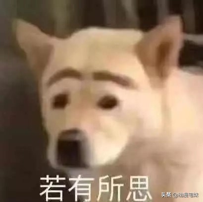 那些年的非主流网名,你都用过什么非主流网名