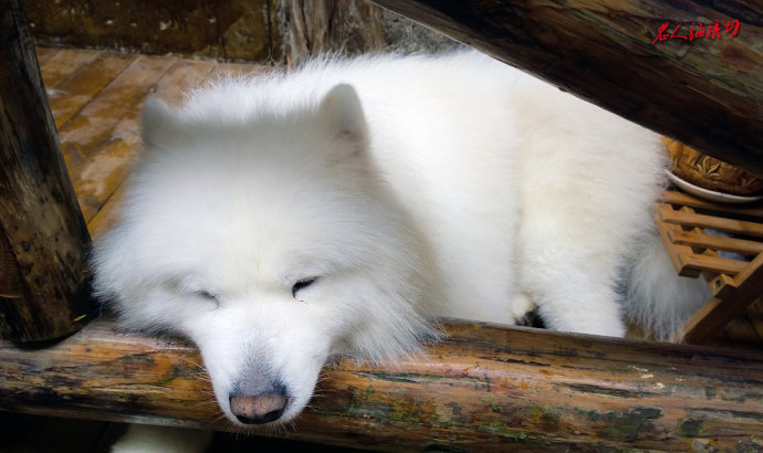 贵州黔东南镇远古镇旅游攻略,黔东南镇远古城一日游