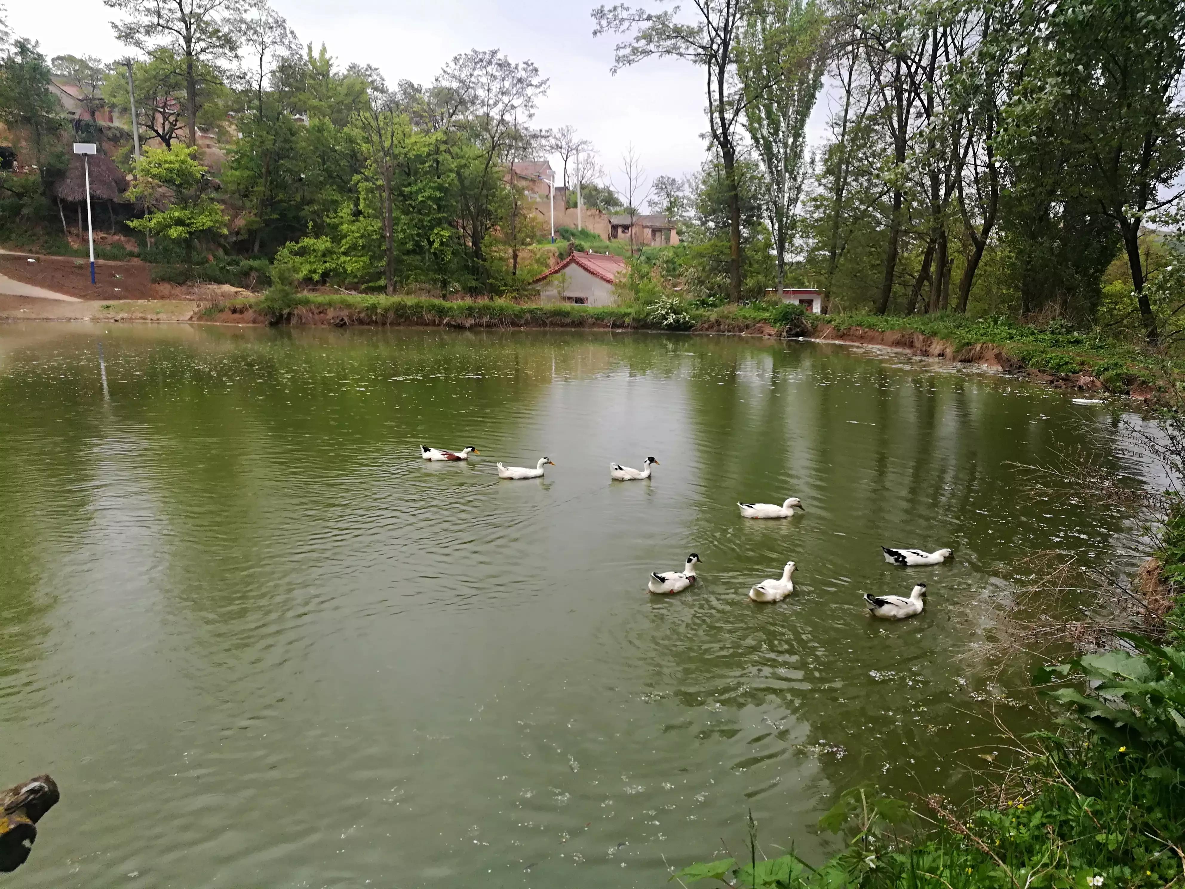 在村里工作有什么困难,在村里做事有意思吗