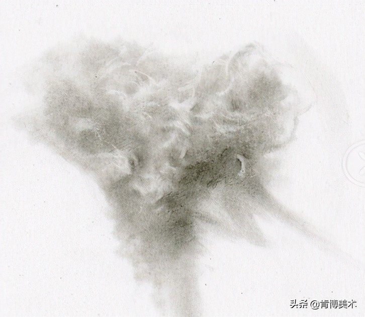 动物毛发素描,素描如何表现动物毛发