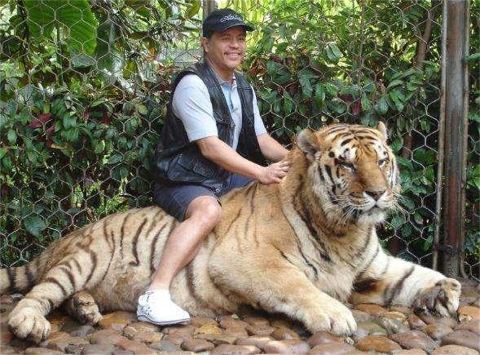 任何猫后颈被抓住猫都无法动弹吗,抓猫的后颈为什么猫不反抗