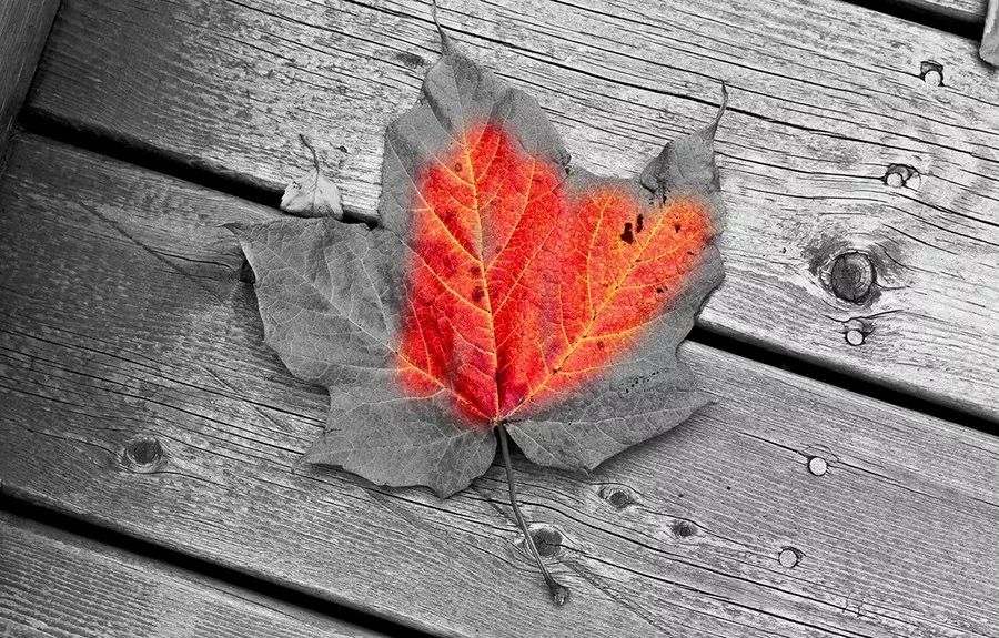 ps怎样把红叶背景人物照调色,秋景枫叶人像调色ps