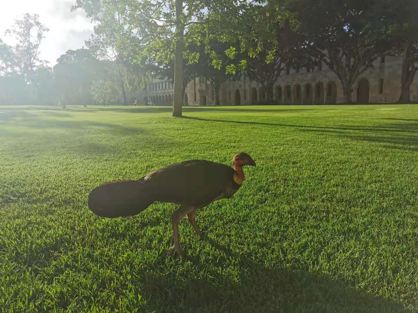 悉尼一年的生活成本,悉尼一年四季穿什么