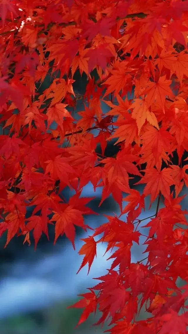 蓟州区诗词,关于天津蓟州的古诗