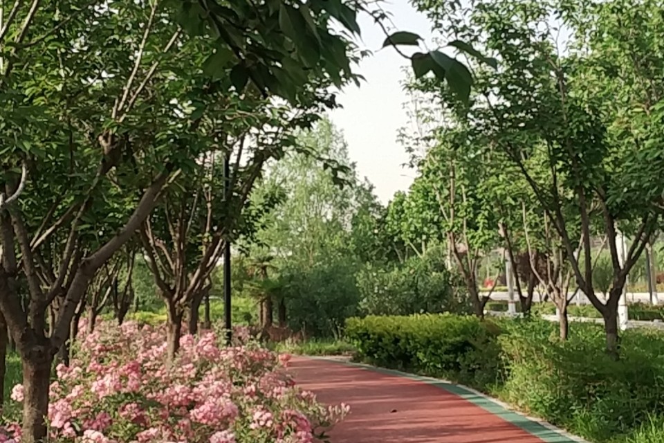 婆婆不仅让怀孕的我吃剩饭，还让她大儿子搬进了我家