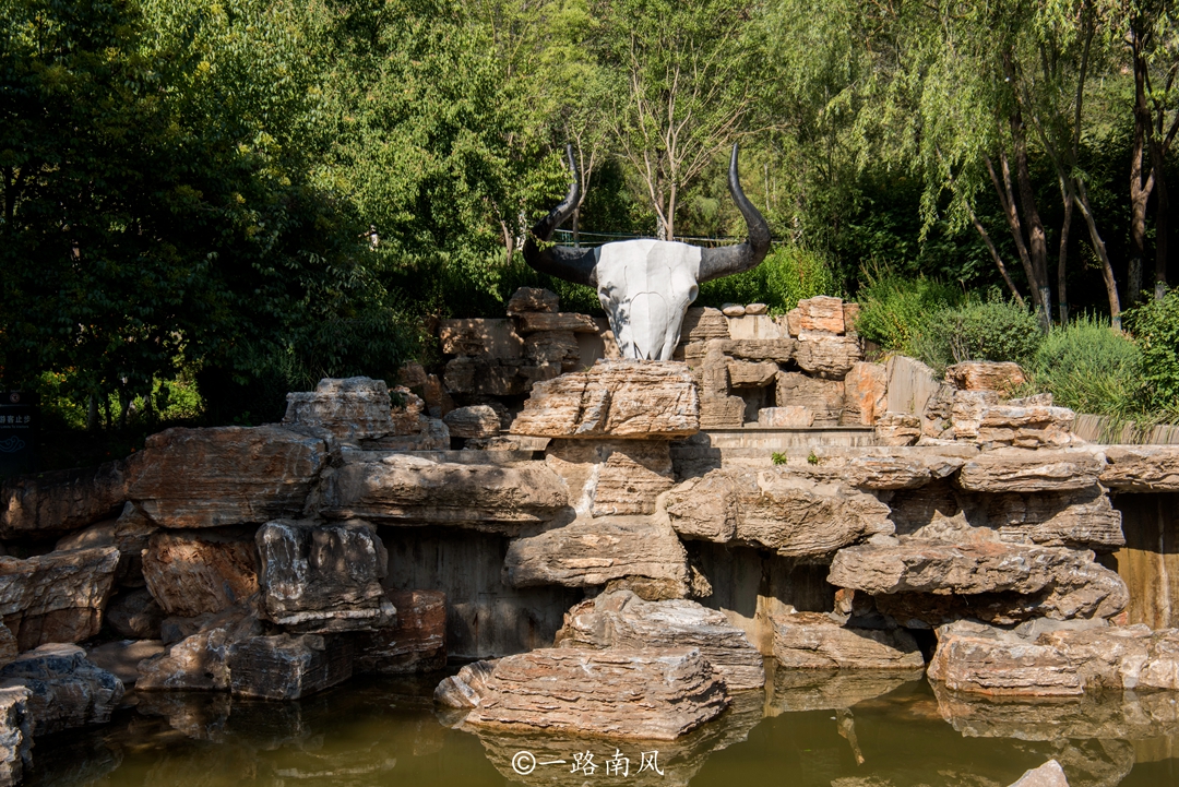 博主西宁旅游 (外地博主来西宁旅游)