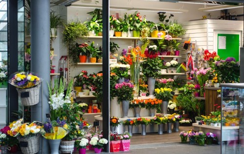 女生现在开什么店比较合适,现在女生开什么店比较适合