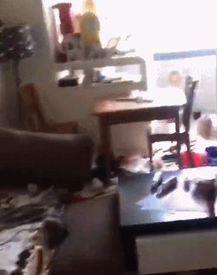 这5种狗你都敢养,建议新手便宜养的10种狗