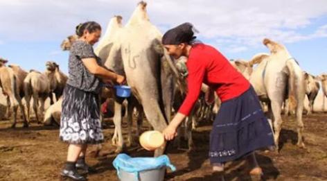 万里黄沙，波涛如怒，谁建起这条横贯中国的壮阔公路？