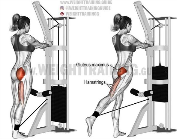 胸肩背臂腿腹训练动作,腰臀肌肉训练方法