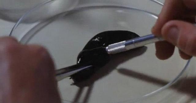 寄生虫电影完整版最刺激的那段,十部最恶心虫子电影