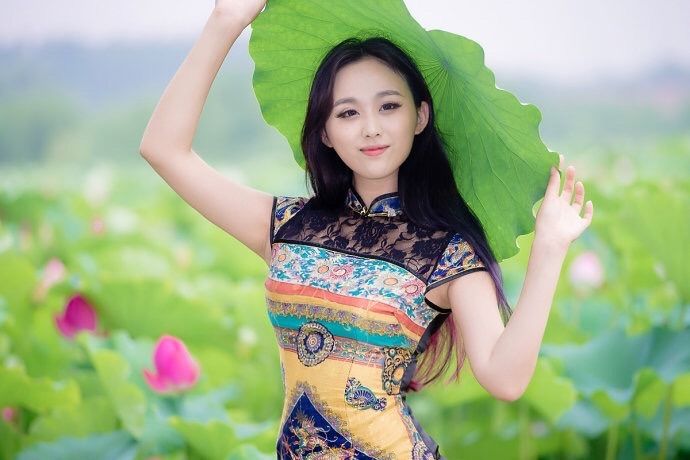 莲花朵朵，心念款款，深情缱绻