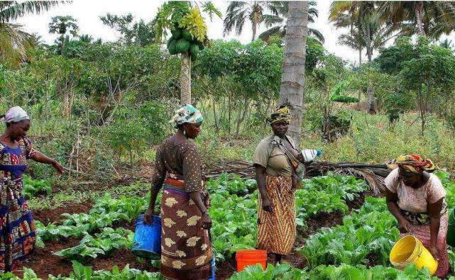 大量华人奔赴非洲，并表示过得太舒服，这到底是为啥？