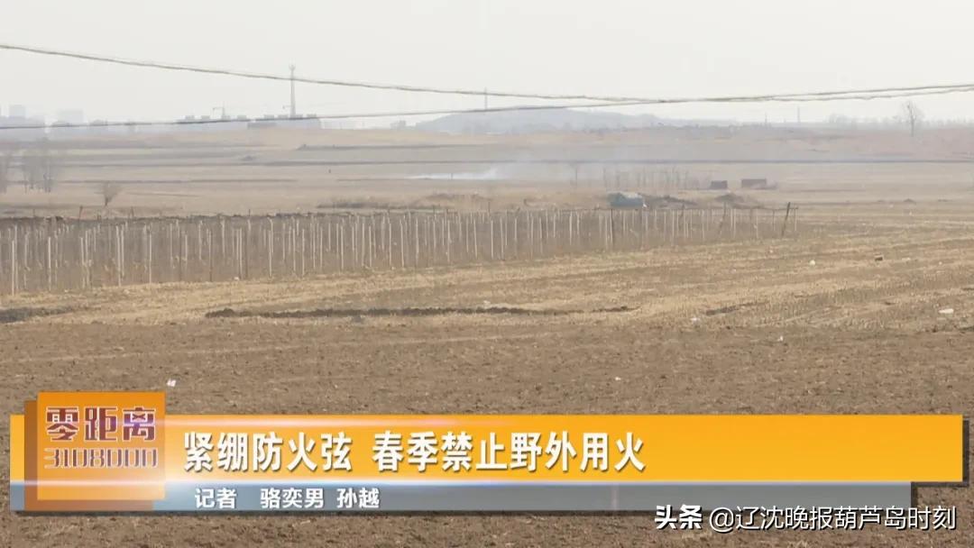 葫芦岛要闻快报,葫芦岛市今日快讯