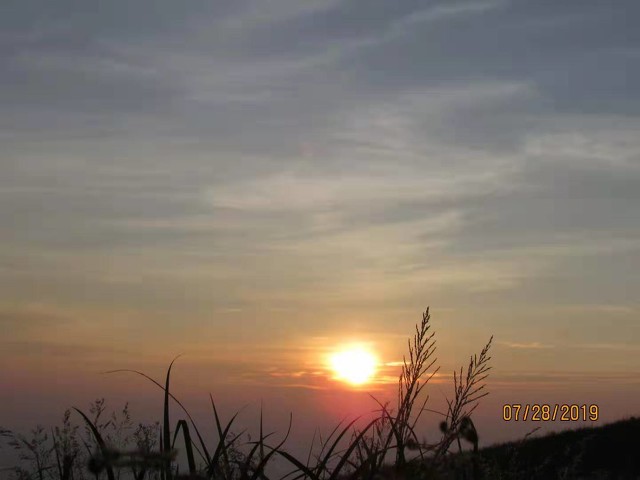 忘了来时的路新歌曲,忘了来时的路忘了最初的梦想