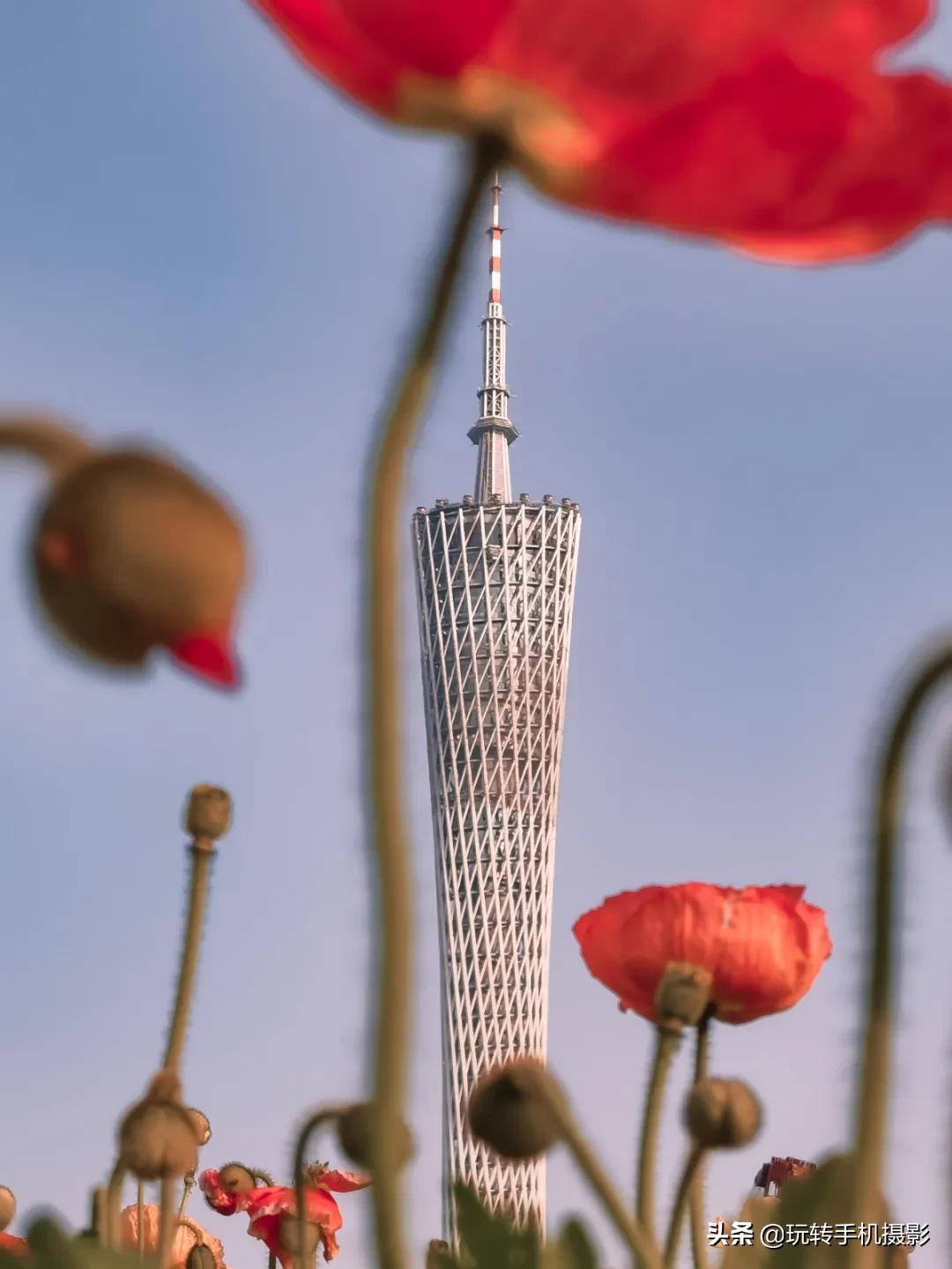 为什么有些人手机拍照那么好看,为什么手机拍照的人越来越多