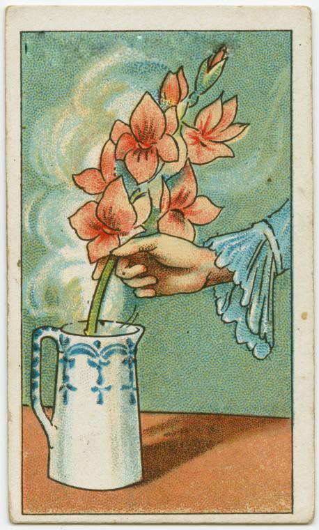 罕见！百年前的烟画，不是只有性感美女，还有这生活小百科插画