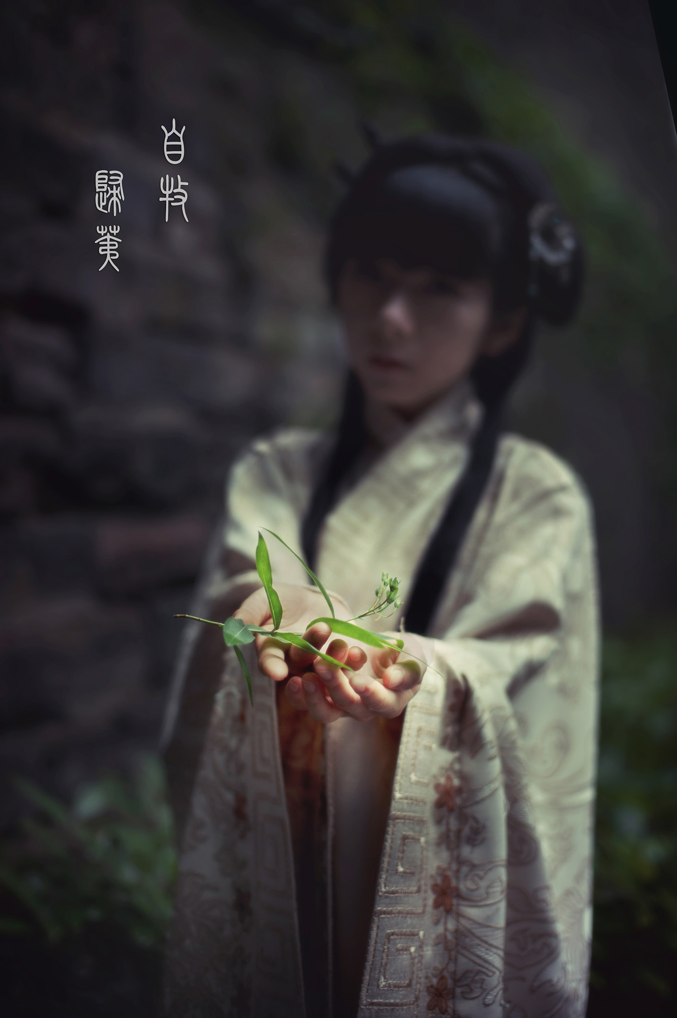 尼康2021年新相机,尼康2021年新相机及镜头展望