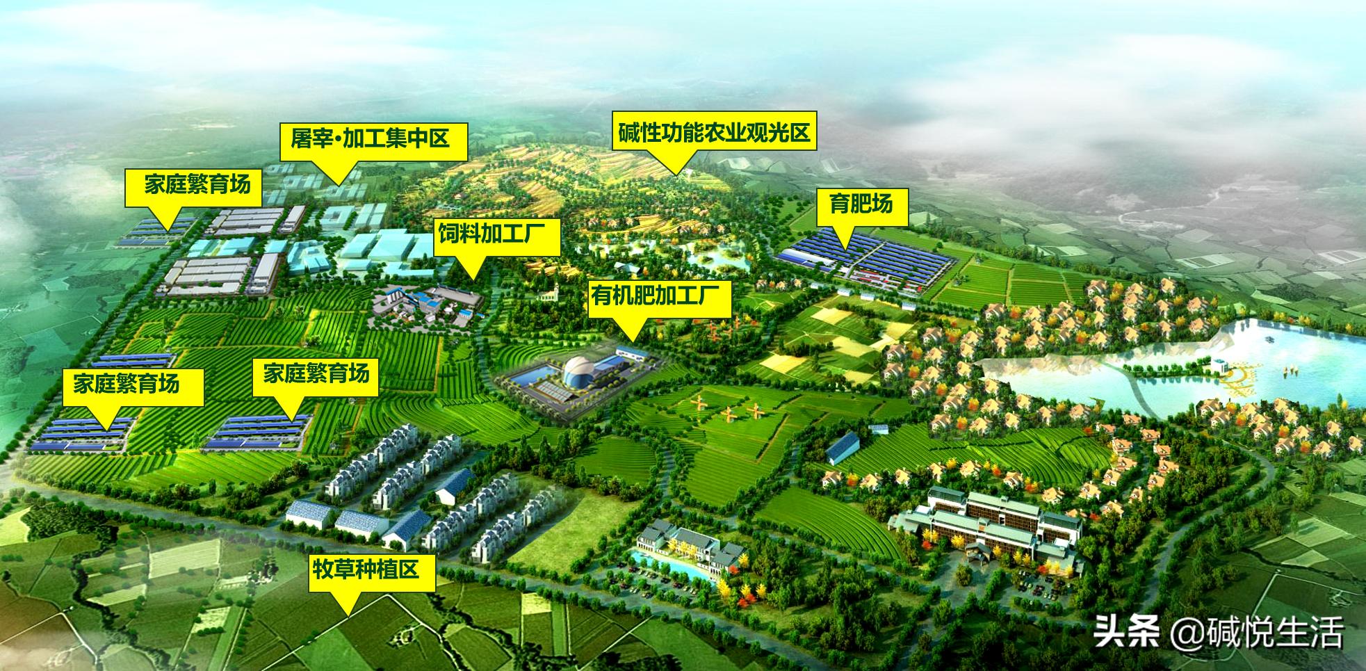 盐碱地畜牧养殖,盐碱地养殖小窍门