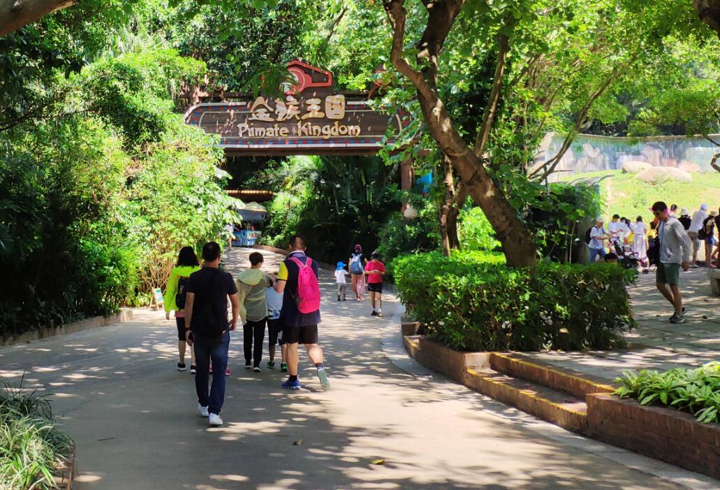 2019广州长隆动物园有哪些动物,广州长隆动物园多少个动物