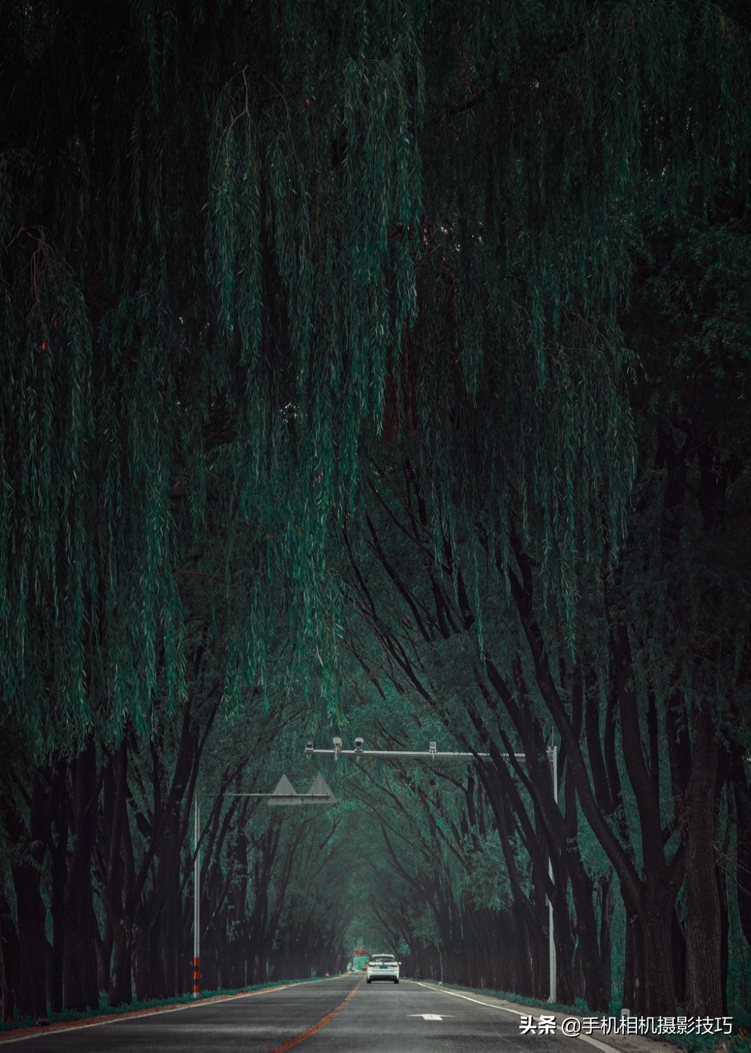 会摄影很酷,会摄影的人真的很酷