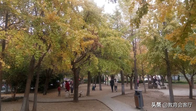 金秋旅游视频模板,国庆郯国古城游玩攻略