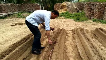 山药红斑是如何形成的,山药红斑病