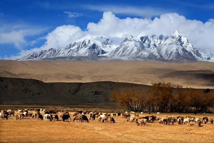 中国地大物博，知道东、南、西、北极在哪里吗？