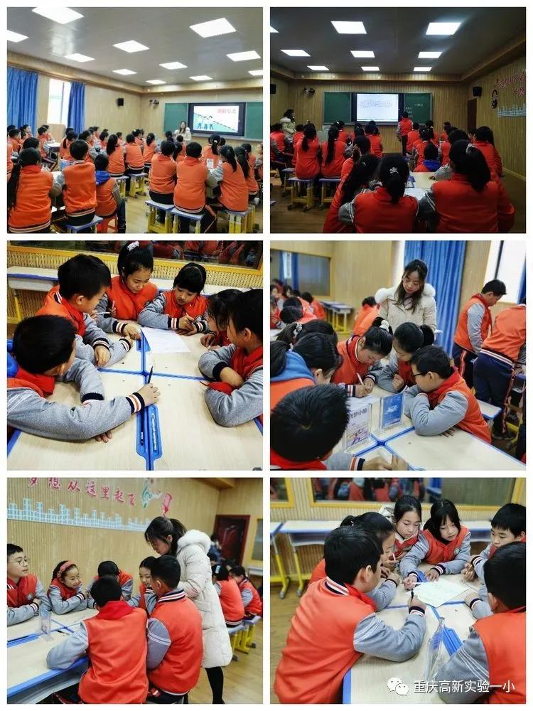 重庆五朵金花小学分别在哪些区,重庆小学5朵金花