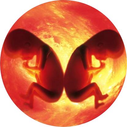 孕期四维彩超胎儿视频,孕期四维查询