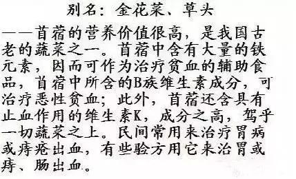 一种野菜治一种病，还能养颜瘦下10斤！为了家人，赶紧收藏！