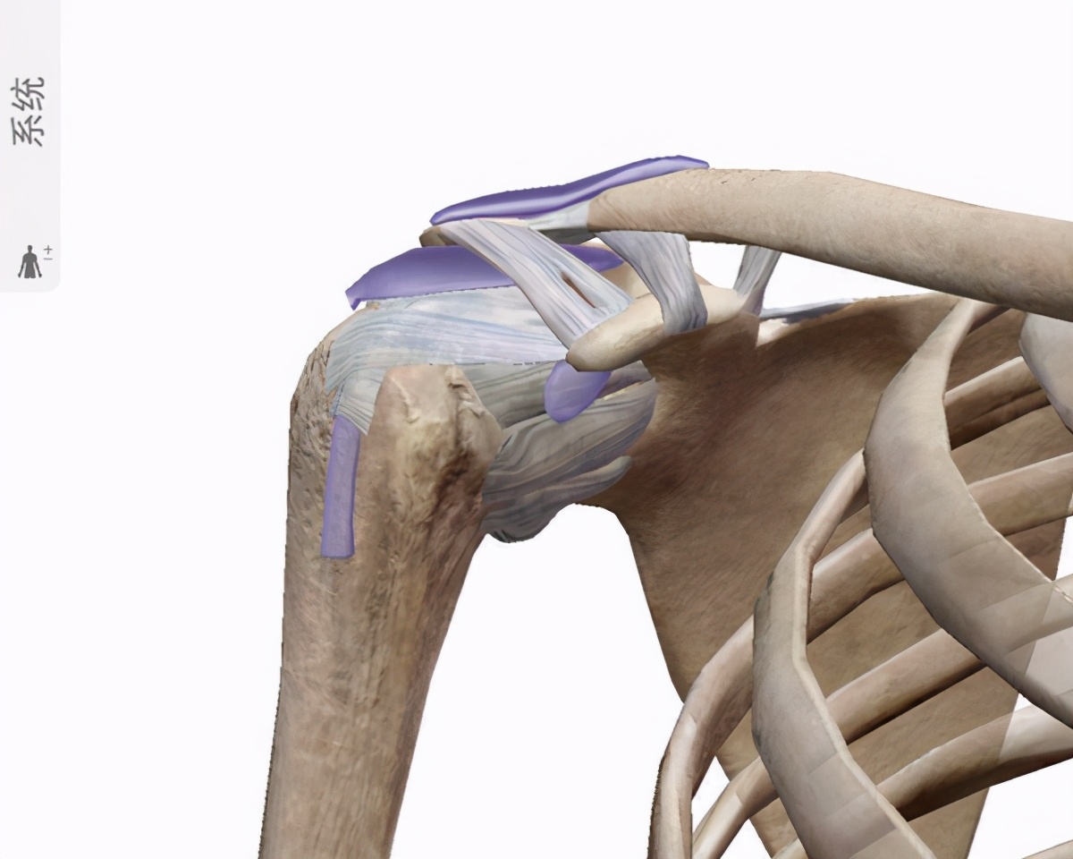 肩关节正斜位怎么治疗,怎么判断肩关节稳定不稳定