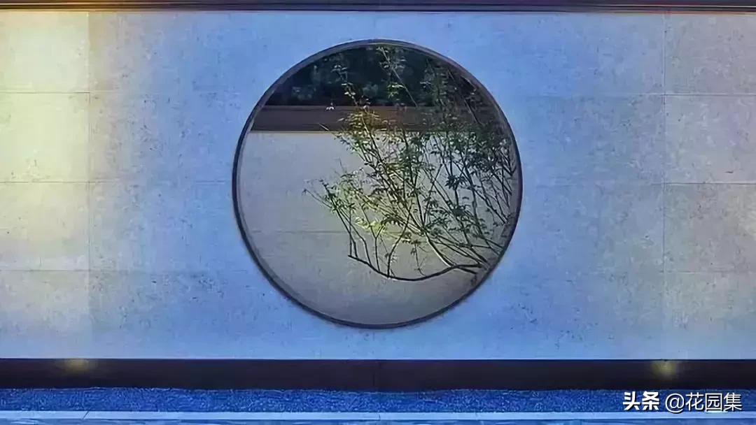 小小庭院,小小庭院满园春色