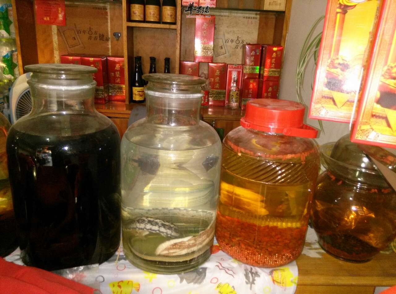 喝补肾壮阳药酒可以喝茶水吗,泡药酒补肾壮阳的药酒配方