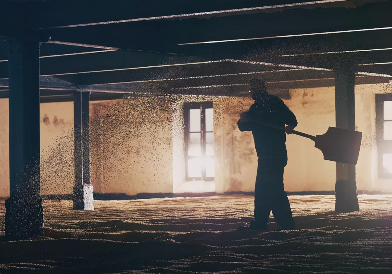 威士忌收藏必买5瓶,威士忌收藏家