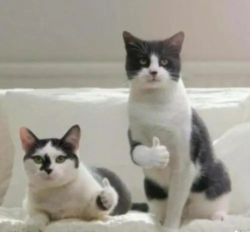 偏僻的地方不能装宽带怎么办,地方比较偏僻怎么装宽带