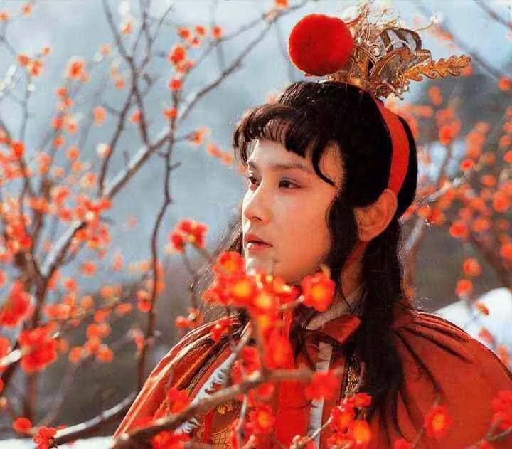 蒋勋红楼梦青年版,蒋勋喜欢红楼梦里谁