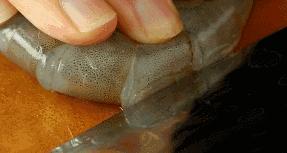 基围虾怎样做好吃又不辣,用做麻辣龙虾的方式做基围虾