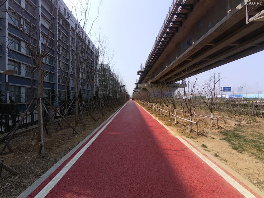 水下摄影4k,海鸟4k运动相机深度评测